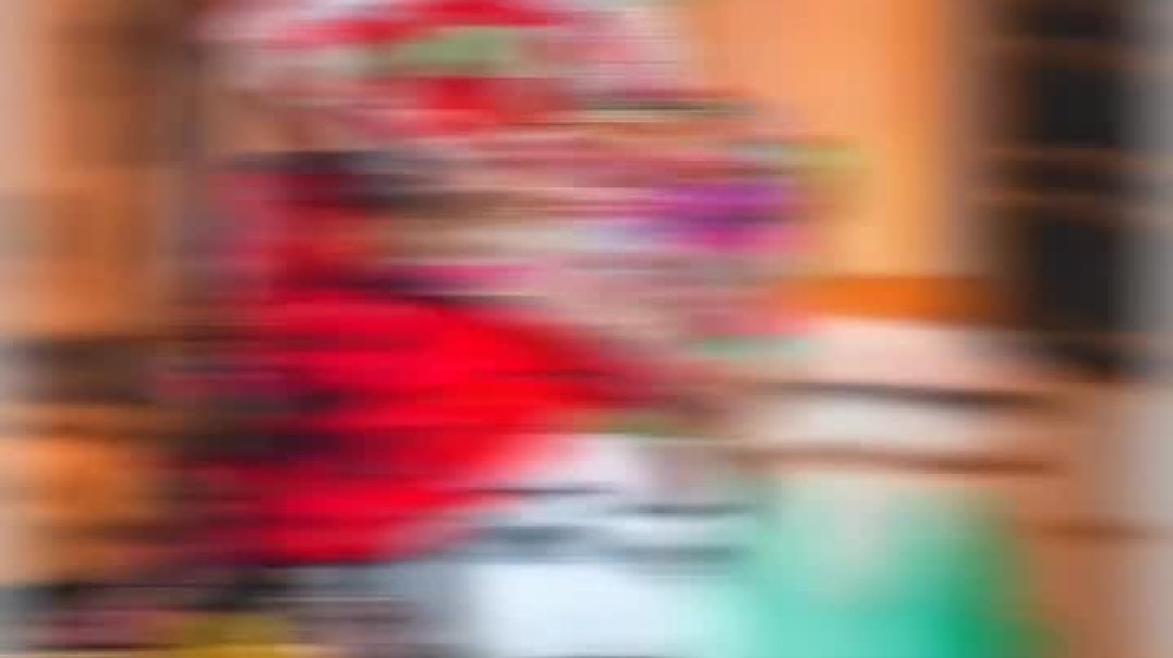 video_20251218_202447_edit