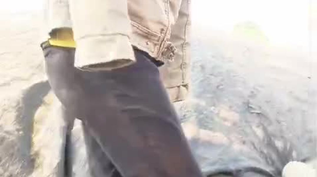 ⁣VID-20251201-WA0018