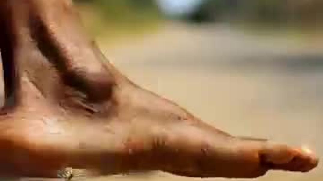 ⁣The_poor_puppy_didn_t_have_man_s_slippers_so,_his_rich_friends_making_fun_of_him_#animahal(360p)