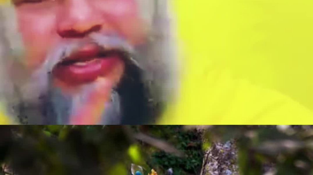 ⁣VN20251215_222329“नाथ! आप बड़े कृपालु हो…”