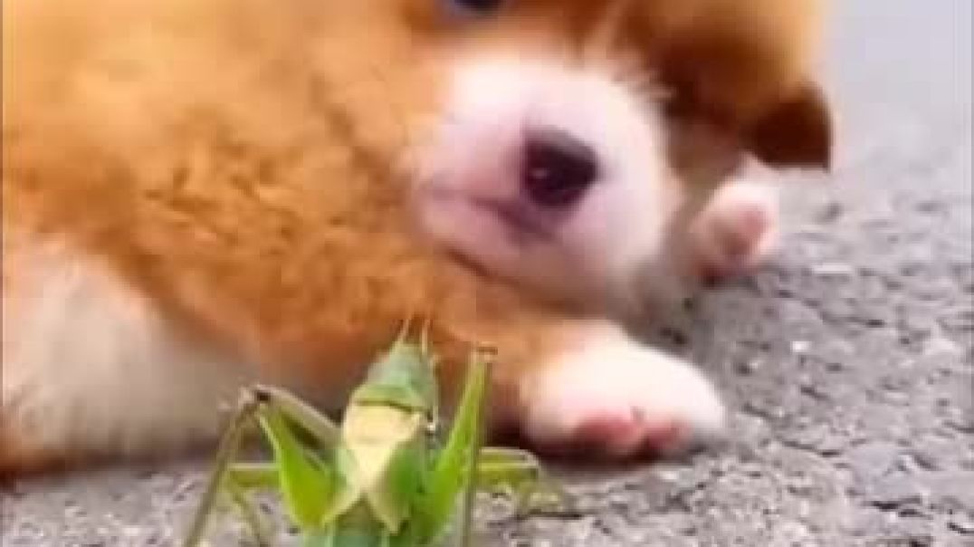 363476581_947911429612299_2087834341382288647_n