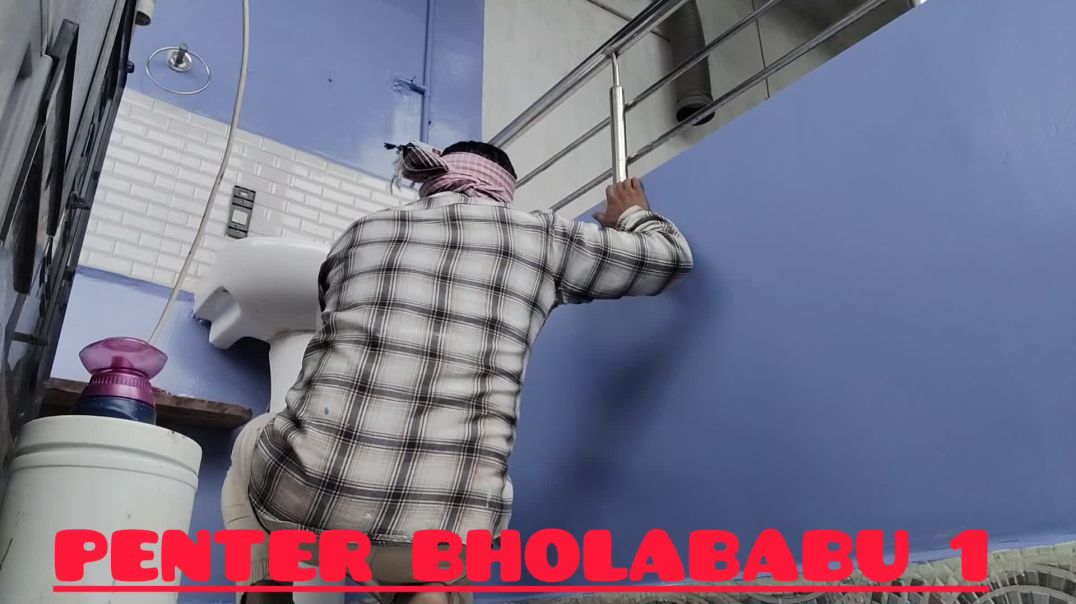 ⁣HD royal shine paint 🫟 #paint