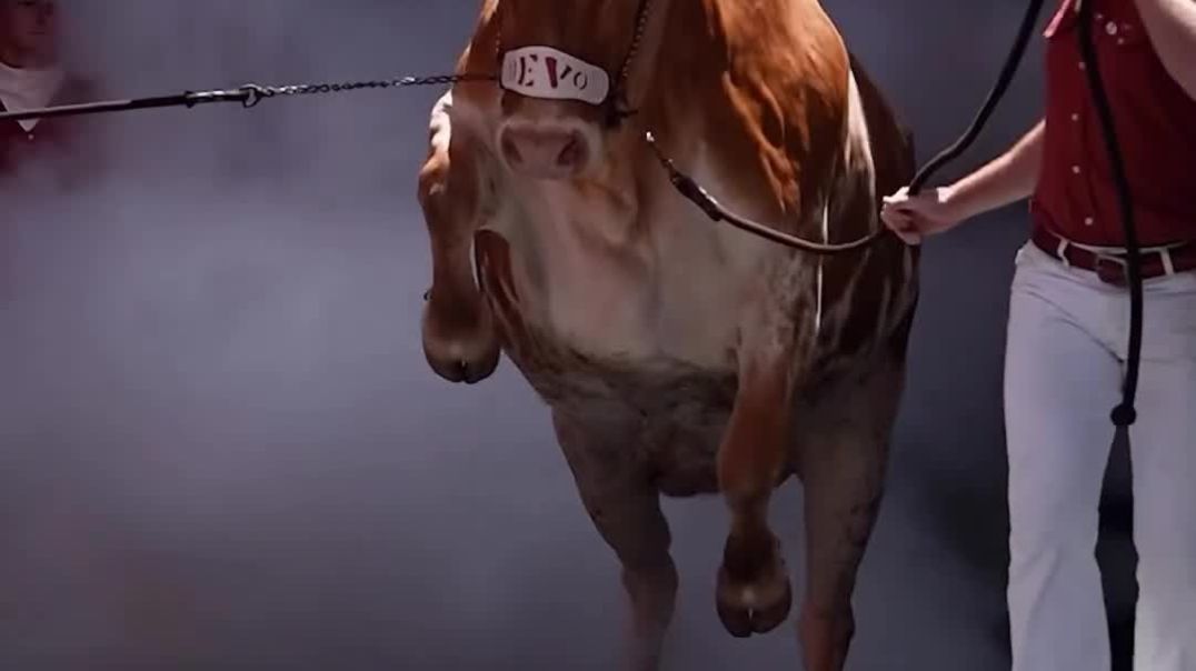 ⁣100 Best Viral Video Hooks 2024 (4)