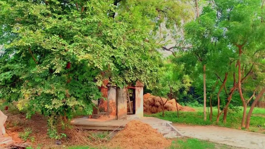 MINI_Vlog_Village___