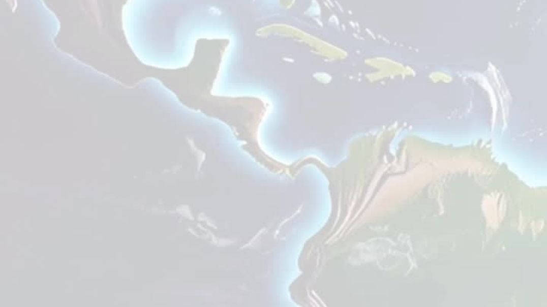 ⁣Brand new Fact Video