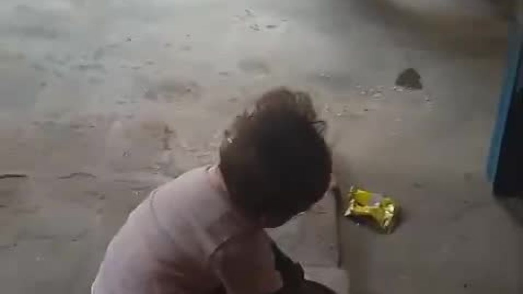 ⁣VID-20251123-WA0002