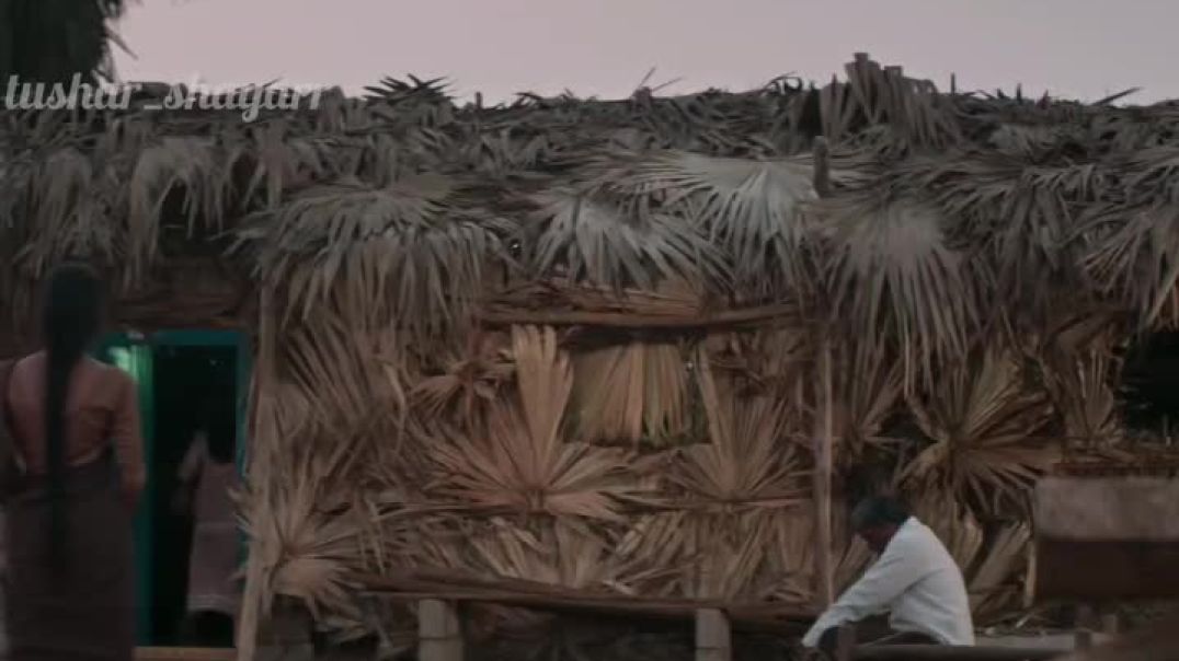 ⁣tushar_shayarr-20251214-0001