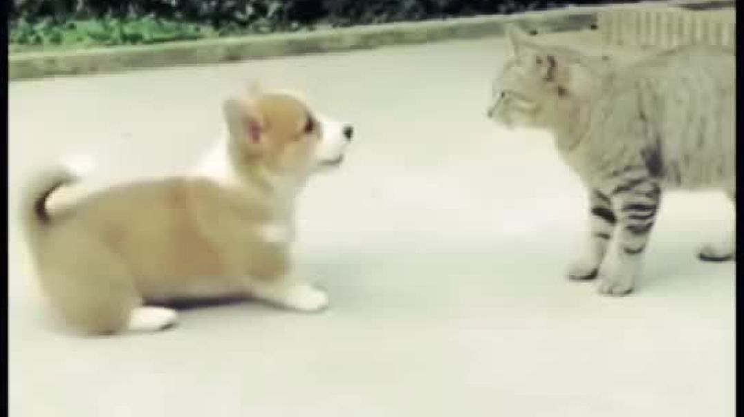 अकेला 🤣🤣