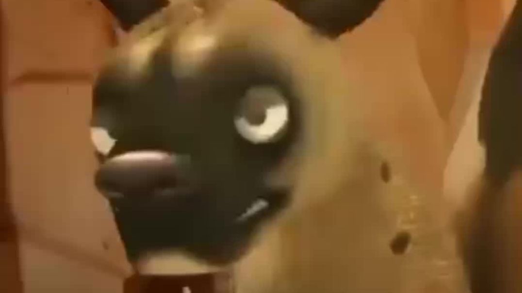 ⁣शेर का ईजत और टिकुआ का प्यार 😀😀😀