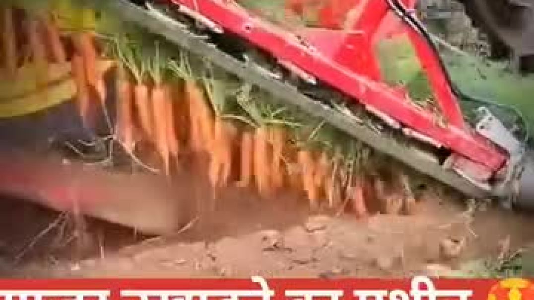 ⁣#गाजर_काढायची_मशीन