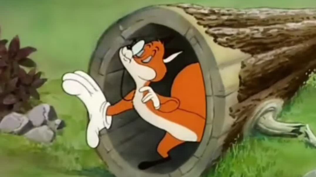 ⁣🦨 gilhari ka hath aar par nikal gaya 🦨