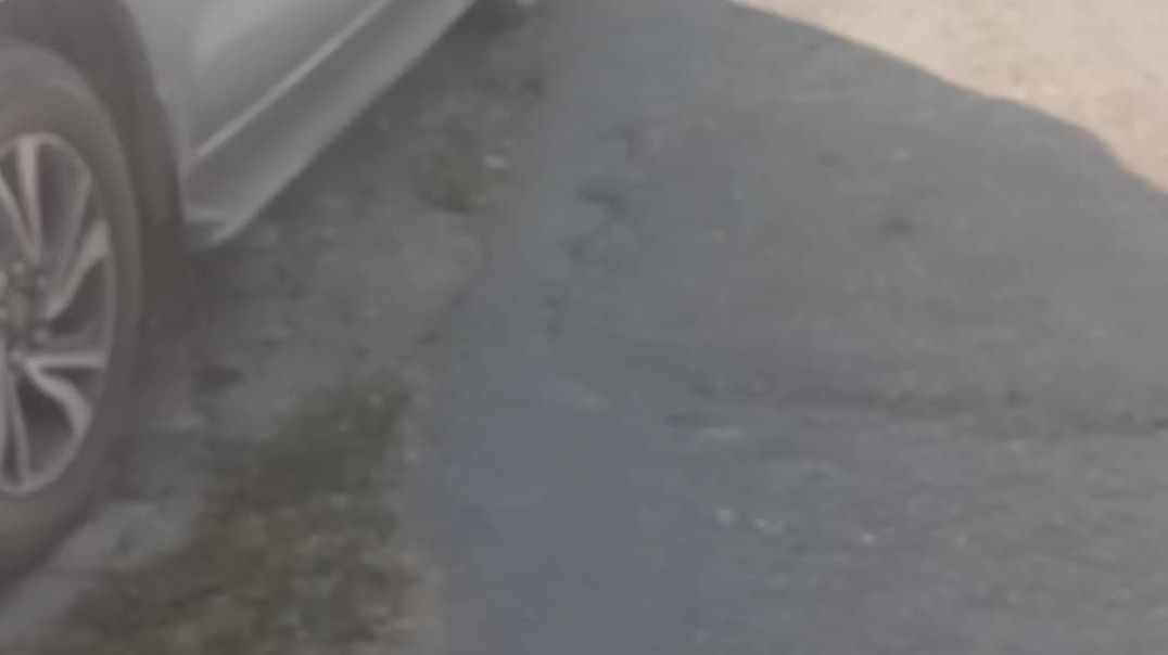 ⁣Vlog recap best moment