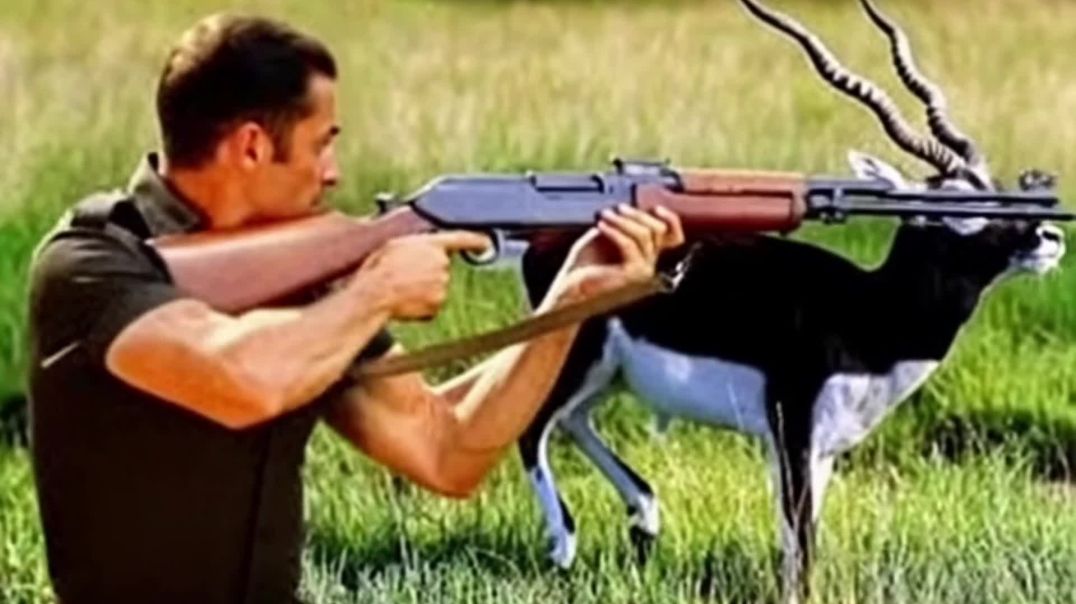 InShot_20251208_200619910