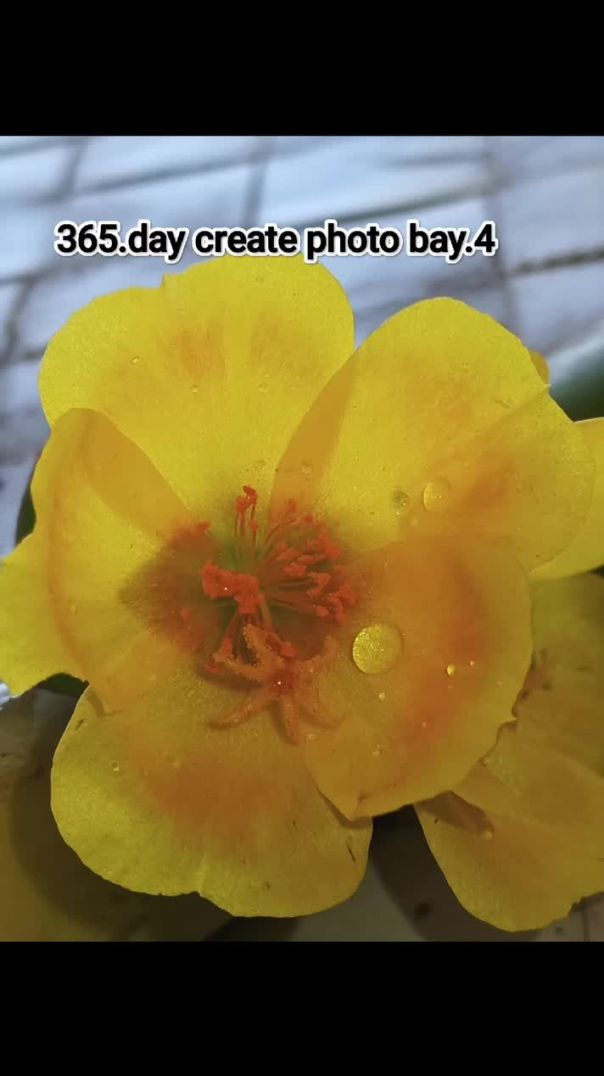 AQP2UXd-v-hBHg4K2oX47S61HLKTw2mfZBVMGqGXIQLL3XY2vQFa5sabdviYfsO9iyYwAS_lu4n6d3WYzkSCknVJTZWdq_LM2n6t