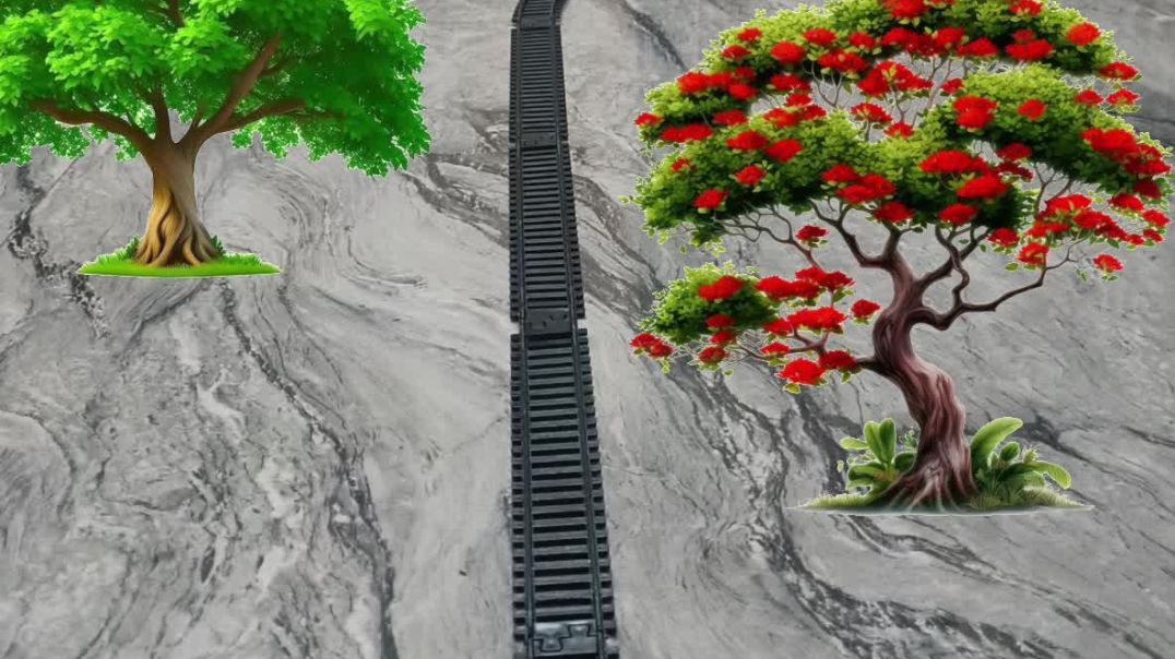 ⁣ट्रेन जंगल का वीडियो