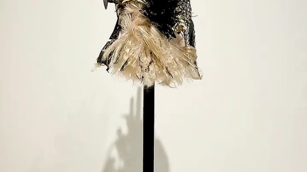 ⁣Real or fake ⁉️