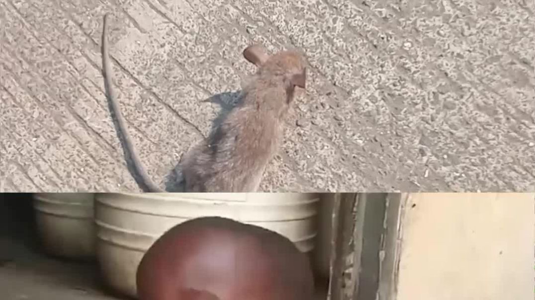 InShot_20251206_182514532