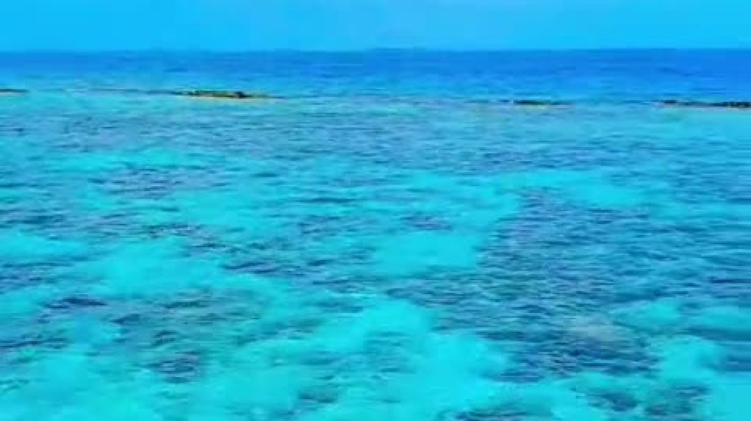 ⁣Samunder me machli