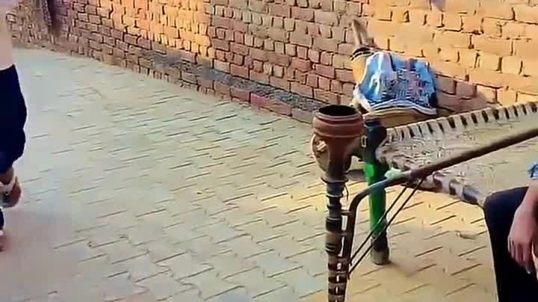 ⁣🏥 hospital #shortsviral #shortvideos (1)