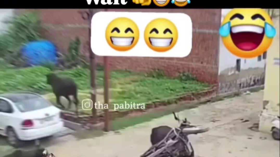 ⁣Funny video