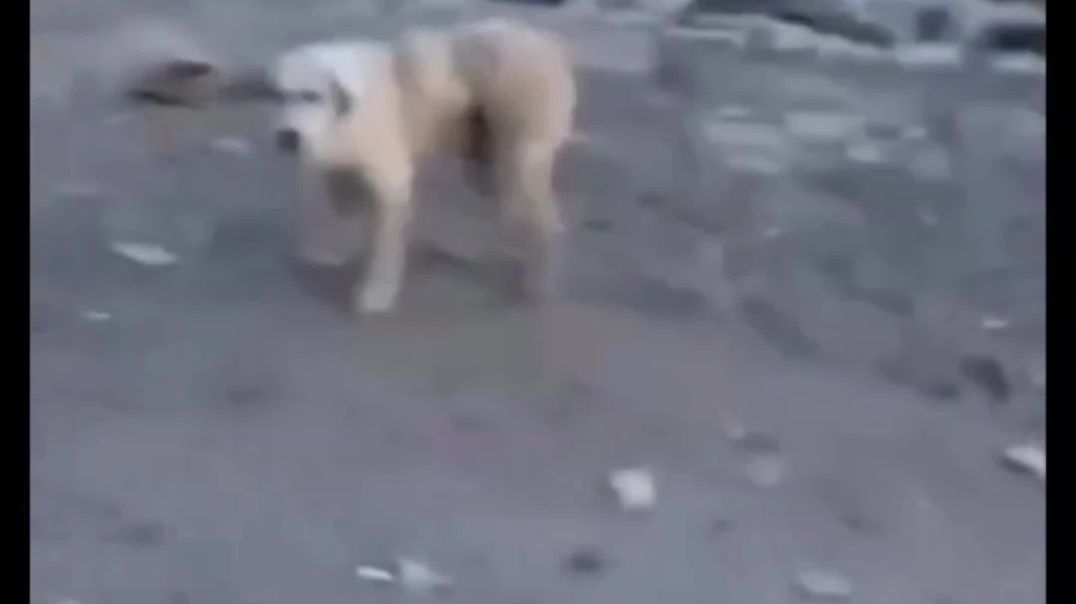 ⁣Wait for end 😜