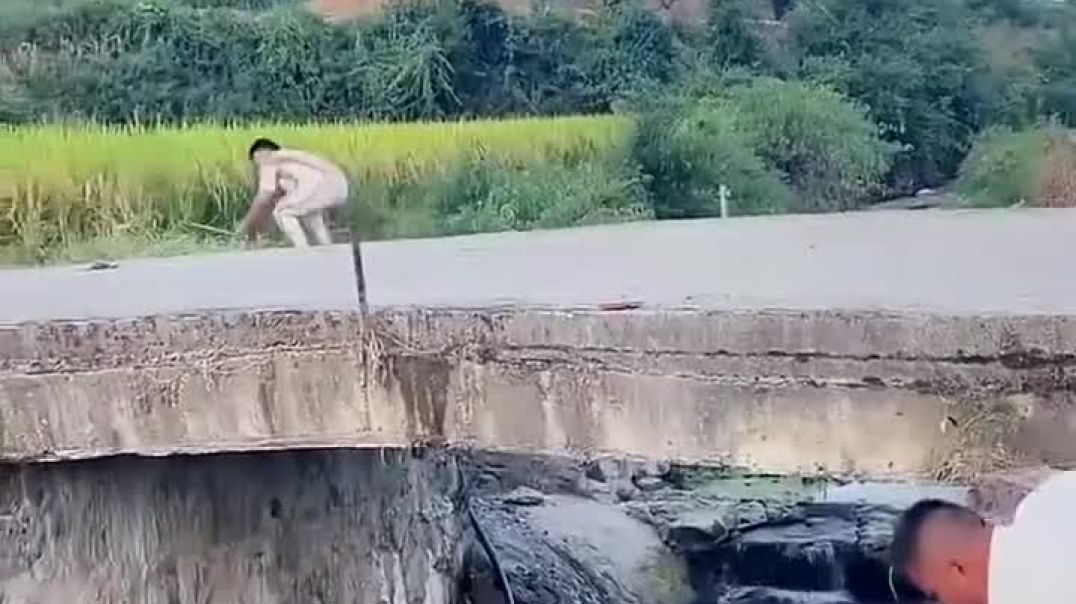 b0d1edb671b0df7be9b083ea9702fde8