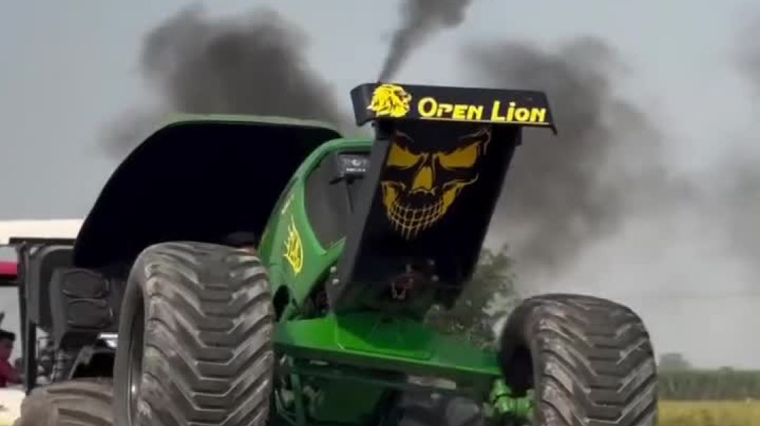 ⁣Chouhan king viral video shorts Chouhan king 🤴 ♥️ 🙌 👏