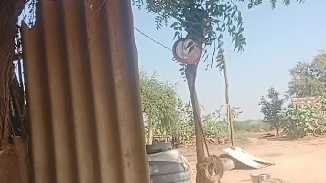 video_20251210_133318