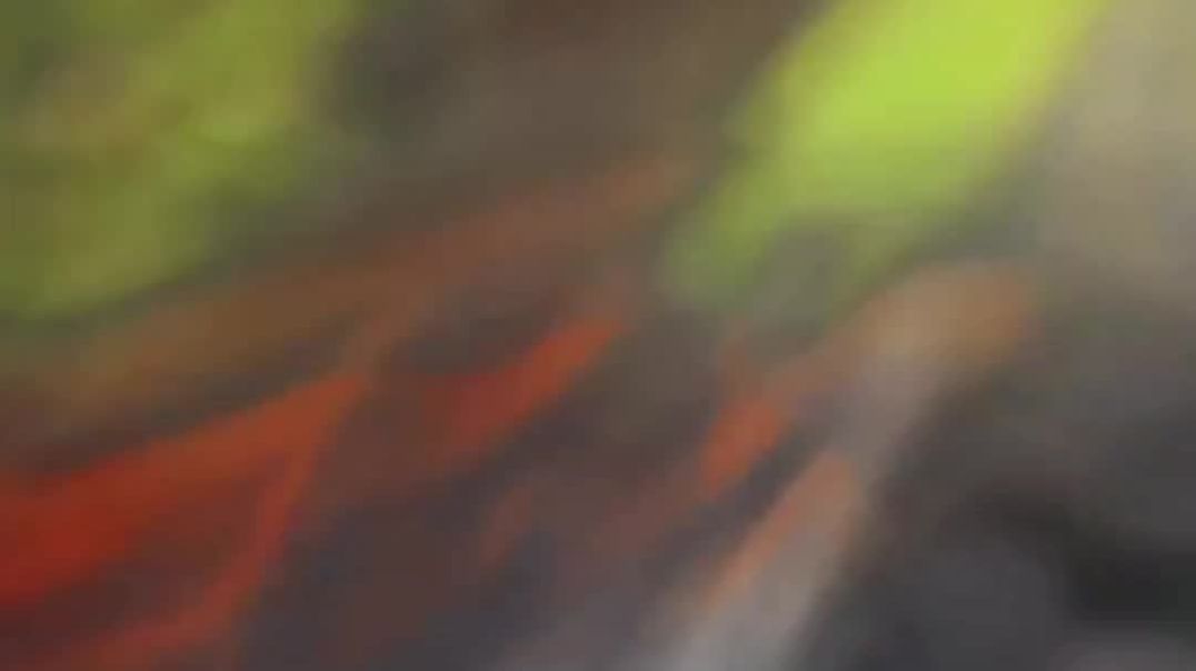 VID_20251209_100429_006