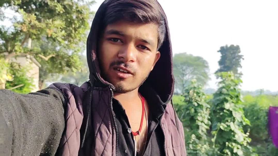 VID_20251206_190043_209_bsl