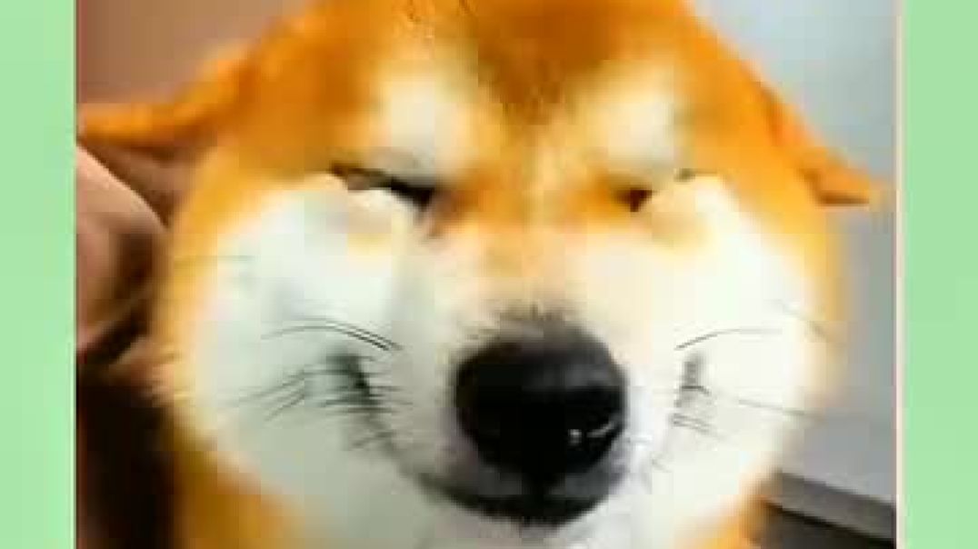 ⁣New Funny Video 😂♥️😘 #funny #trending #memes #cartoon #video