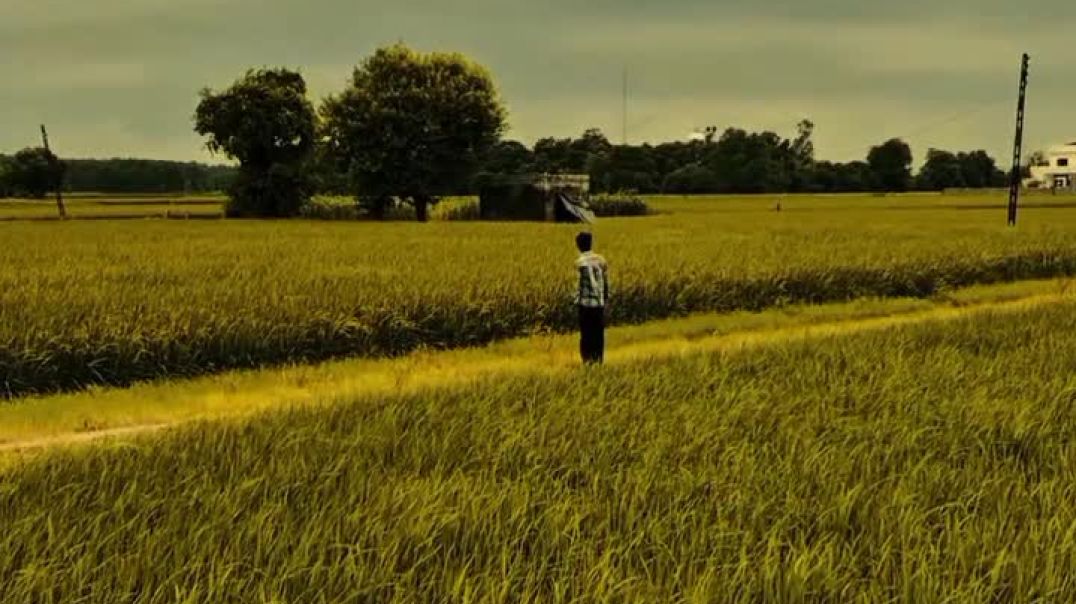 VID_20251214_044948_775 #hi