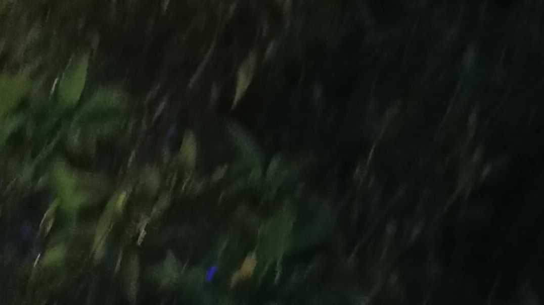 ⁣Ya bhut bhnyak video ha 😇😇