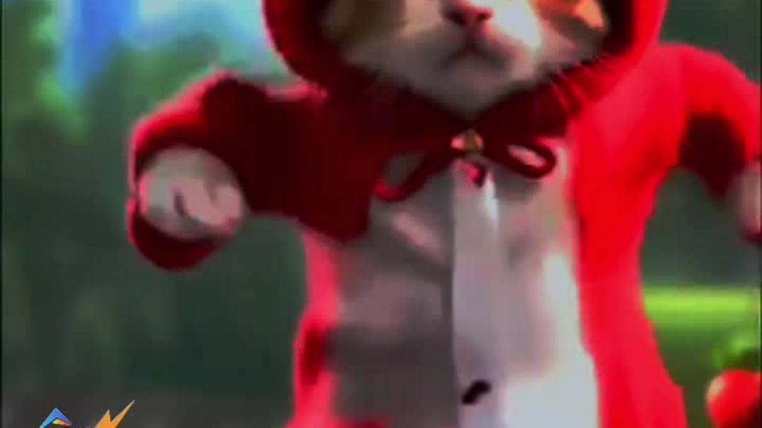 VID_20251206_211315_182