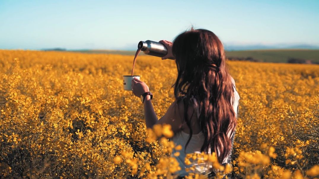 5271945-hd_1920_1080_25fps