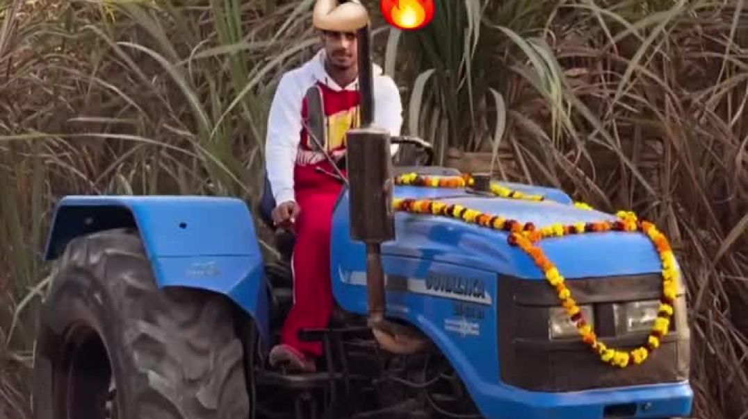 ⁣Chouhan king viral video shorts Chouhan king 🤴