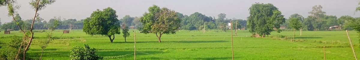 amitrajbhar1181