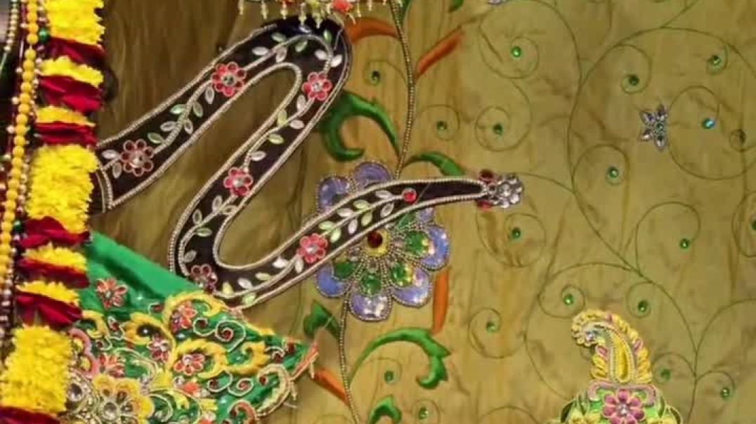 VID_20251130_172351_361