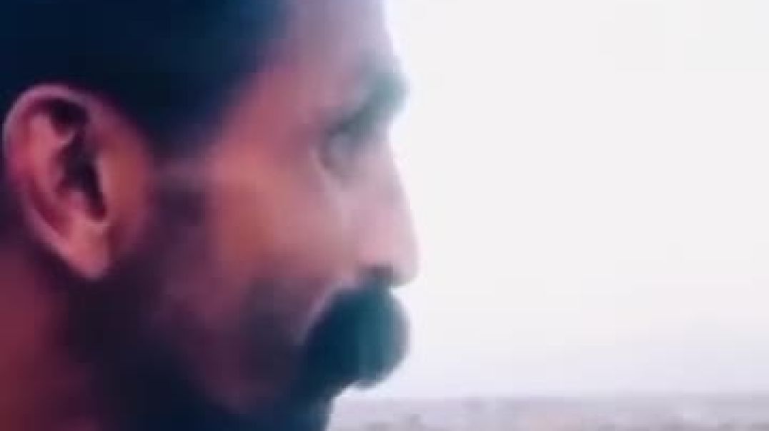 Meow funny video 😜🤣