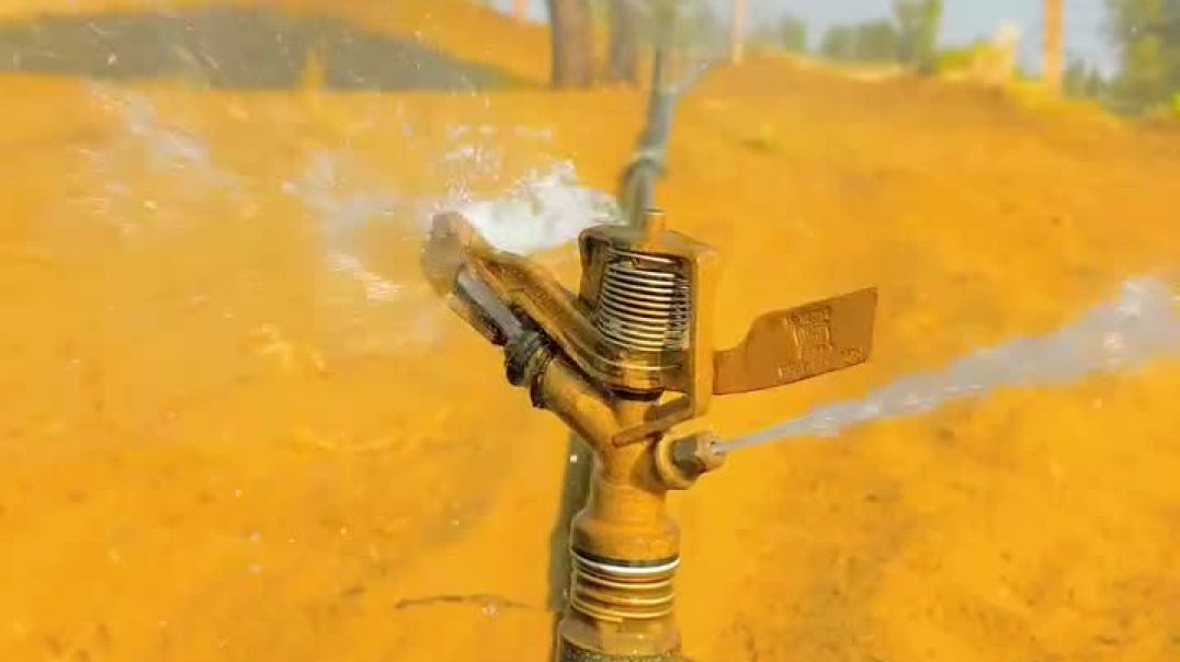 ⁣desert_short___-20251207-0002