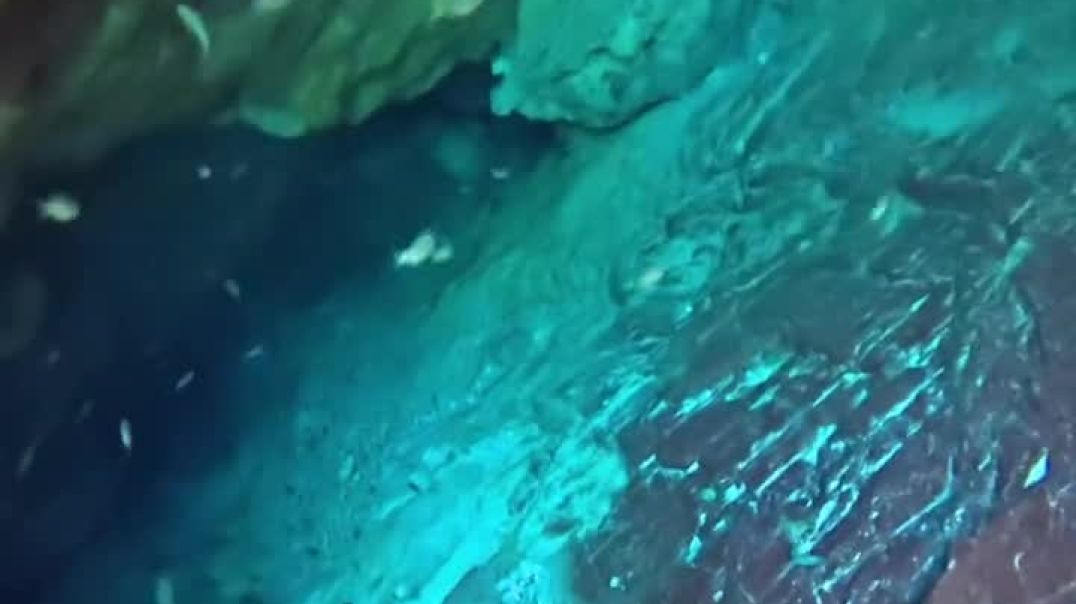 Um verdadeiro espetáculo! 😱💚 Mergulho de apneia na nascente do Chapena 💦📍Fazenda Ceita Corê