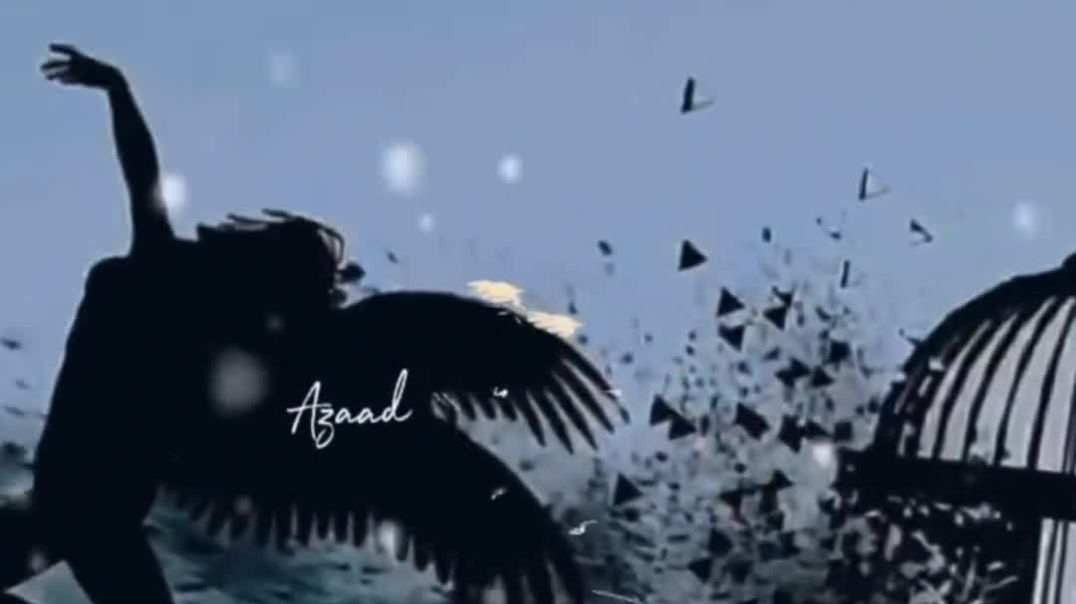 VID_20251114_121005_564