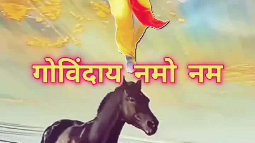 VID_20251206_184931_007