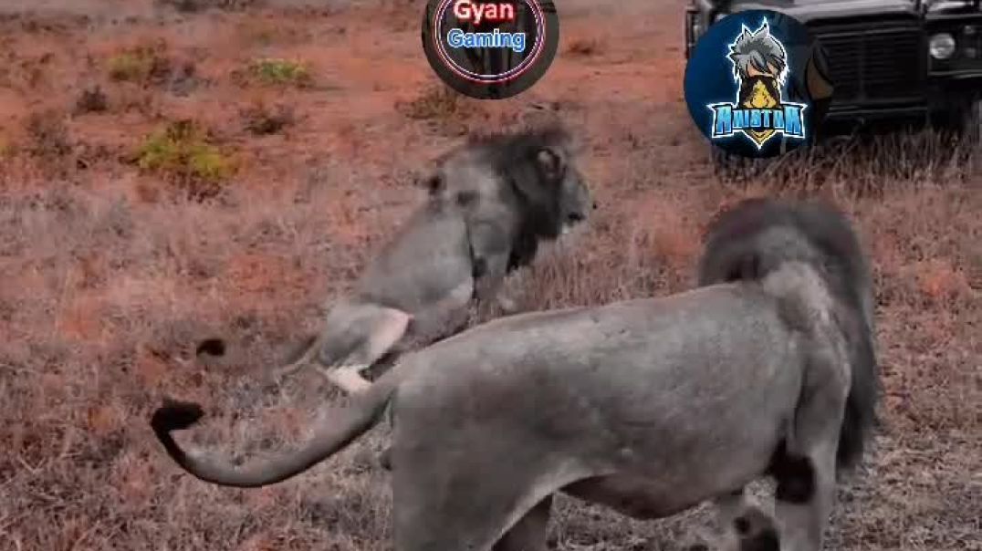 ⁣Apnatube / free fire 🔥