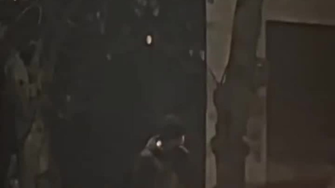 VID_20251201_000836_570