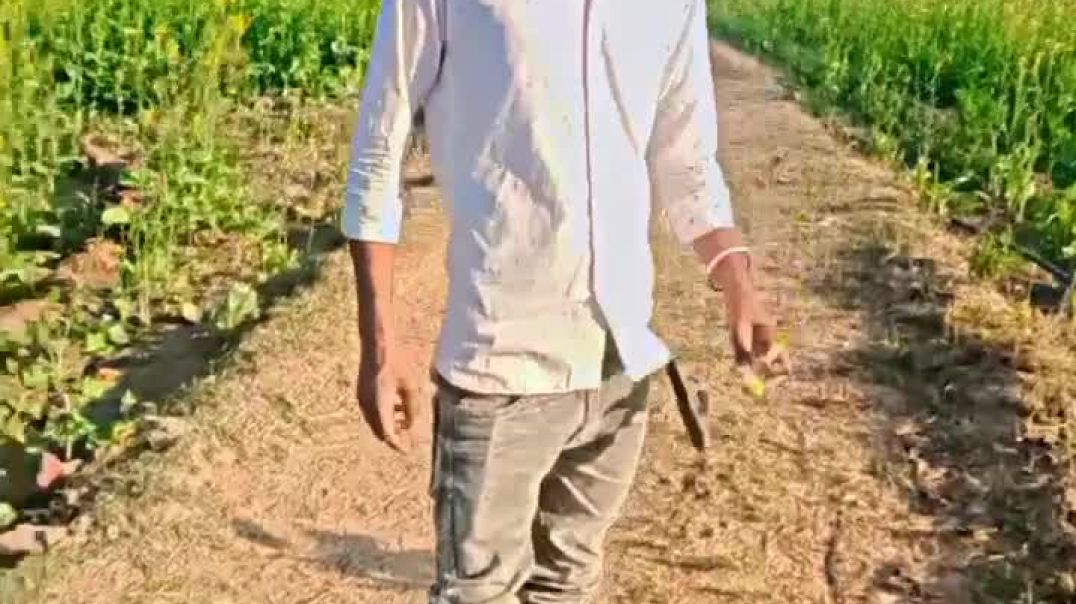 VID_20251208_022618_504