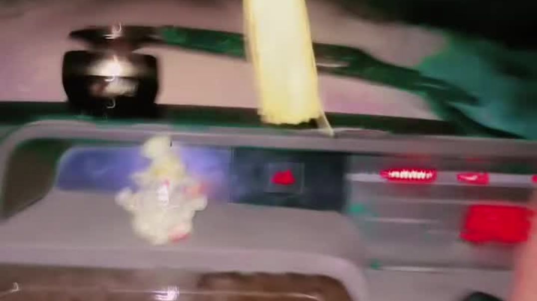 Bolero_❤️‍🩹☺️😇