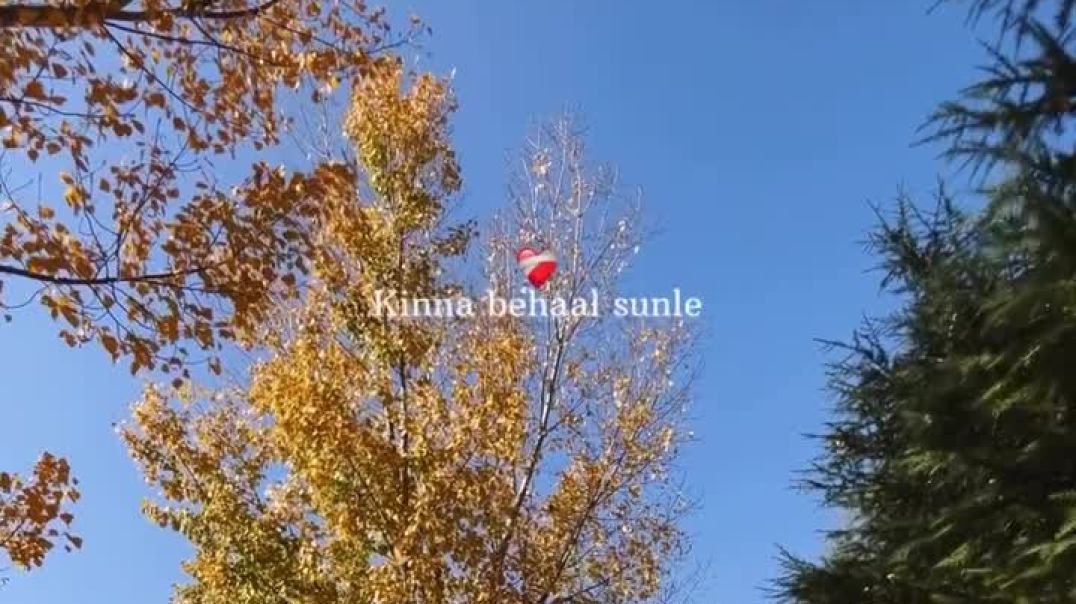 ⁣saade kol baija mere dil da tu haal sunle