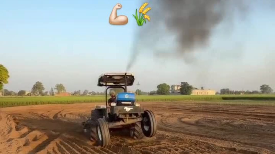 ⁣Chouhan king viral video shorts Chouhan king 🤴