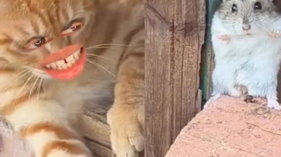 VID_38680116_083807_084